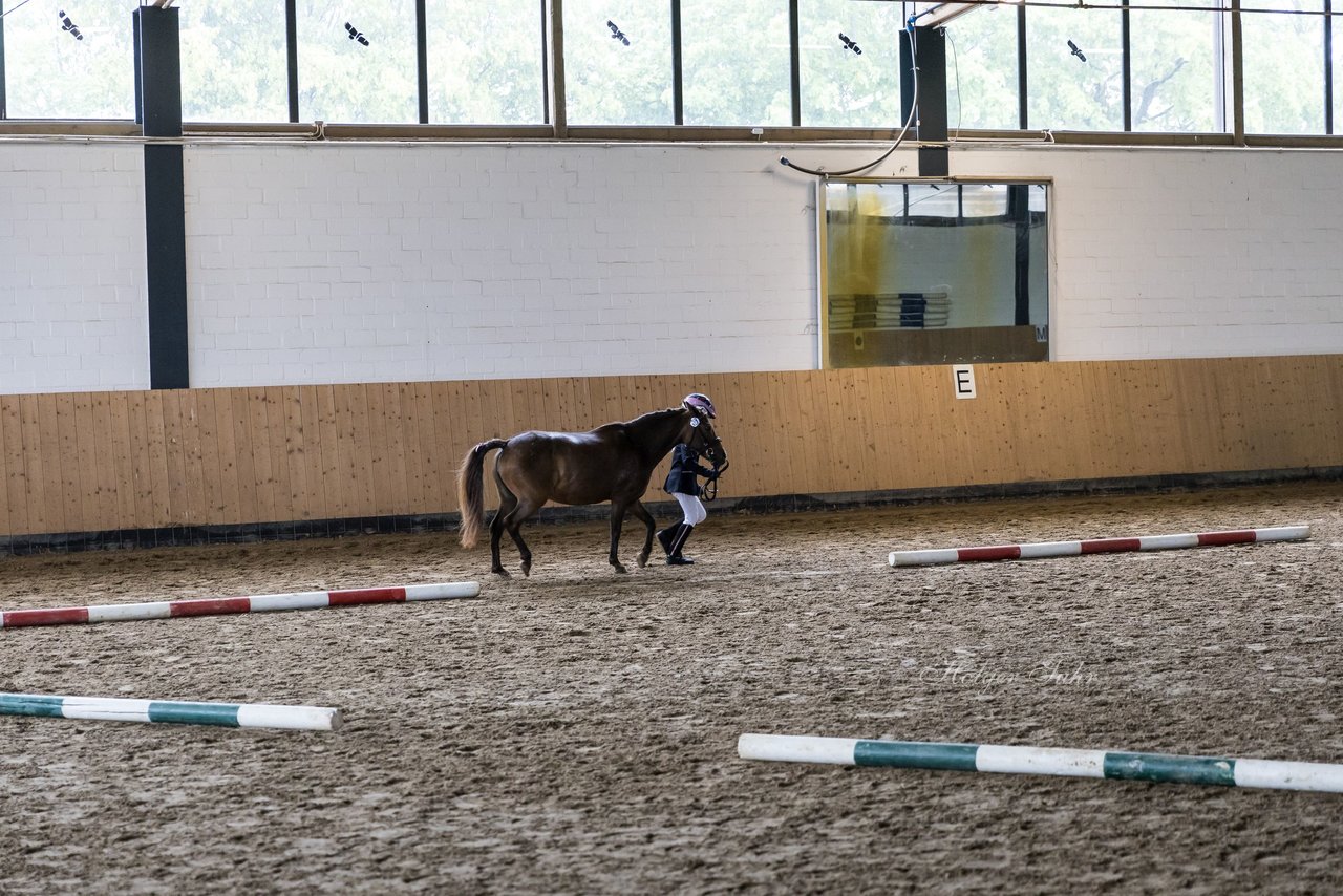 Bild 104 - Pony Akademie Turnier